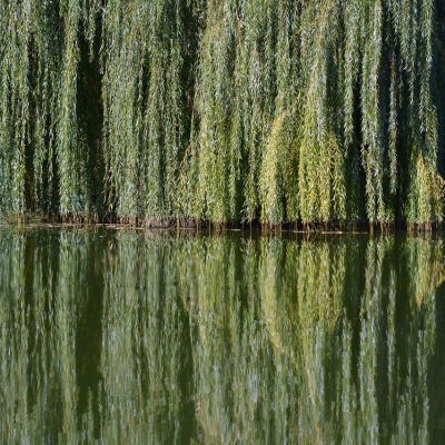 编辑柳岸青在书桌前整理显示屏测试的分步图文流程，手边摊开笔记本与便签，台灯暖光照在稿纸上